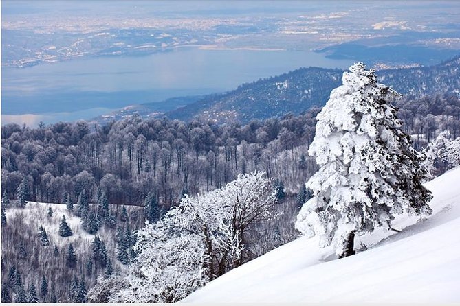 Sapanca and Zoo Private Tour From Istanbul - VIP Minivan - Best Quality - Inclusions in the Tour Package