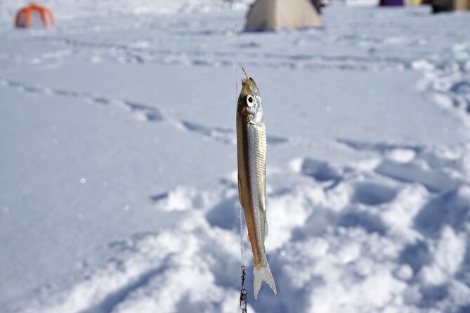 Sapporo Privetetaxi: Smelt Fishing, ROYCE CACAO & CHOCOLATE TOWN - Activities Included