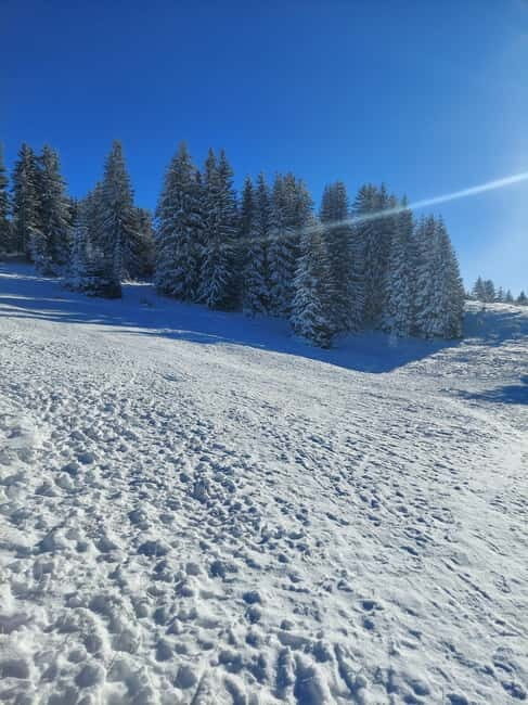 Sarajevo Sport tour: Olympic Mountains and Stadium Tour - The Sum Up