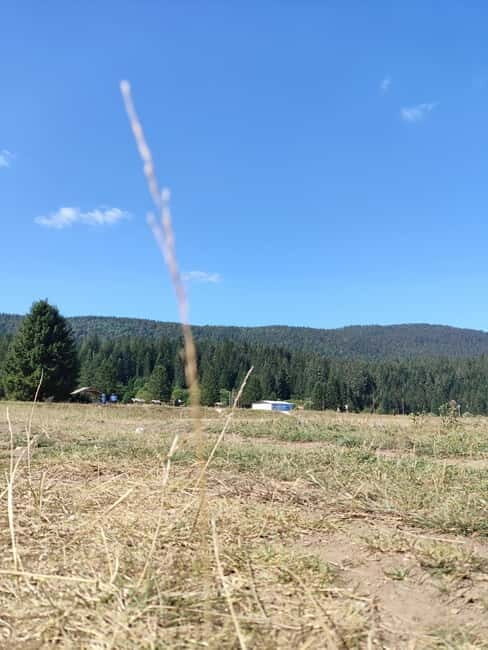 Sarajevo Sport tour: Olympic Mountains and Stadium Tour - FAQ