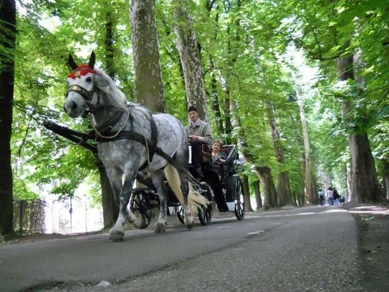 Sarajevo: Vrelo Bosne Nature Park Private Tour - Key Points