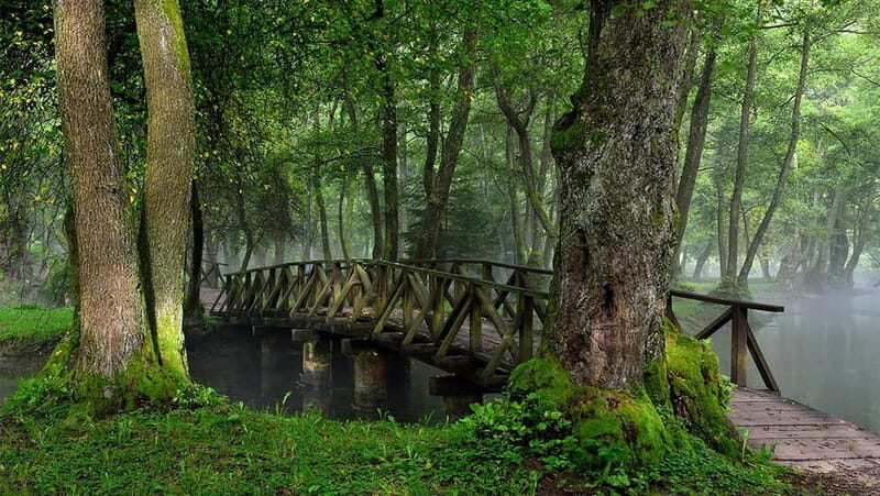 Sarajevo: Vrelo Bosne Nature Park Private Tour - What makes this tour stand out?
