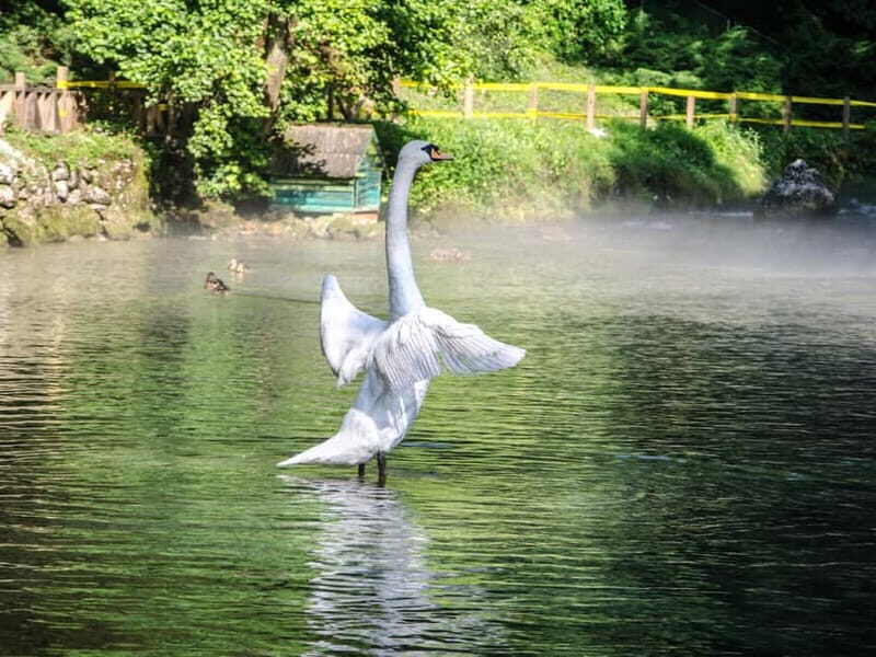 Sarajevo: Vrelo Bosne Nature Park Private Tour - The Value Proposition