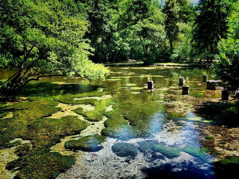 Sarajevo: Vrelo Bosne Nature Park Private Tour - Who Should Consider This Tour?