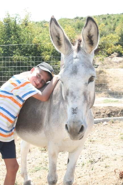 Saranda: Farm Day! Gourmet Lunch, Tour & Cooking Class! - Authentic Experiences and Genuine Hospitality