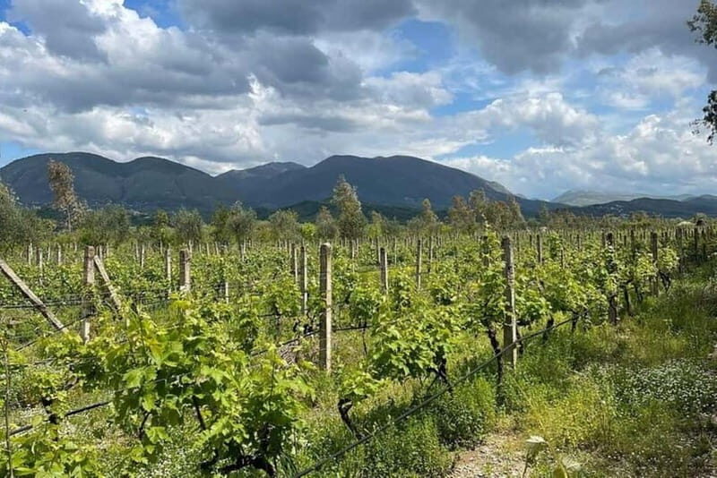 Sarande: Blue Eye & Lekuresi Tour w/ Wine Tasting - Key Points