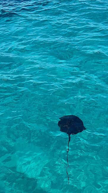 Sarandë: Cruise with Drinks, Snorkel at Shipwreck Swim Stops - FAQ