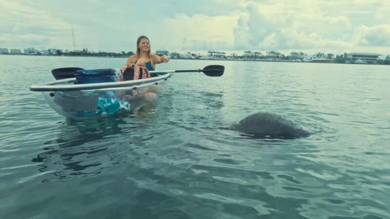Sarasota: Clear Kayak Mangrove Tunnel Eco Tour - Authentic Feedback from Participants