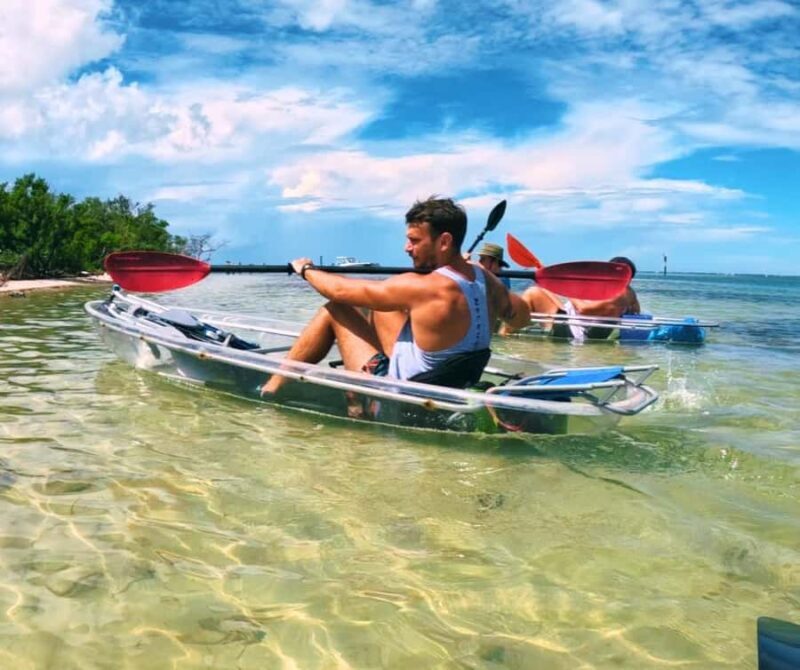 Sarasota: Clear Kayak Mangrove Tunnel Eco Tour - FAQs