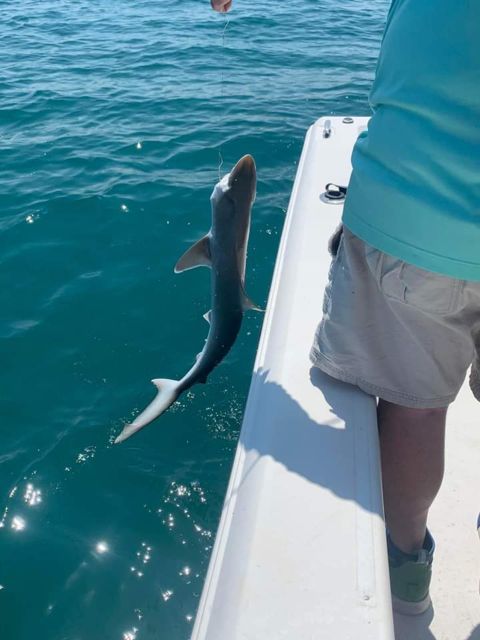 Sarasota Florida Sport Fishing: Skyway Fishing Tours - Bringing Food, Drinks, and Gratuities