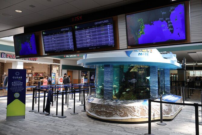 Sarasota Private Luxury Transportation - What to Expect from Sarasota Private Luxury Transportation