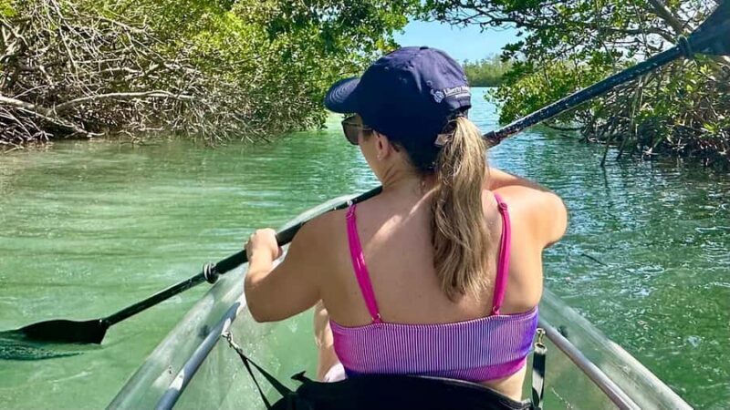 Sarasota: Siesta Key Clear Kayak Tour with Guide - Who Will Love This Tour?