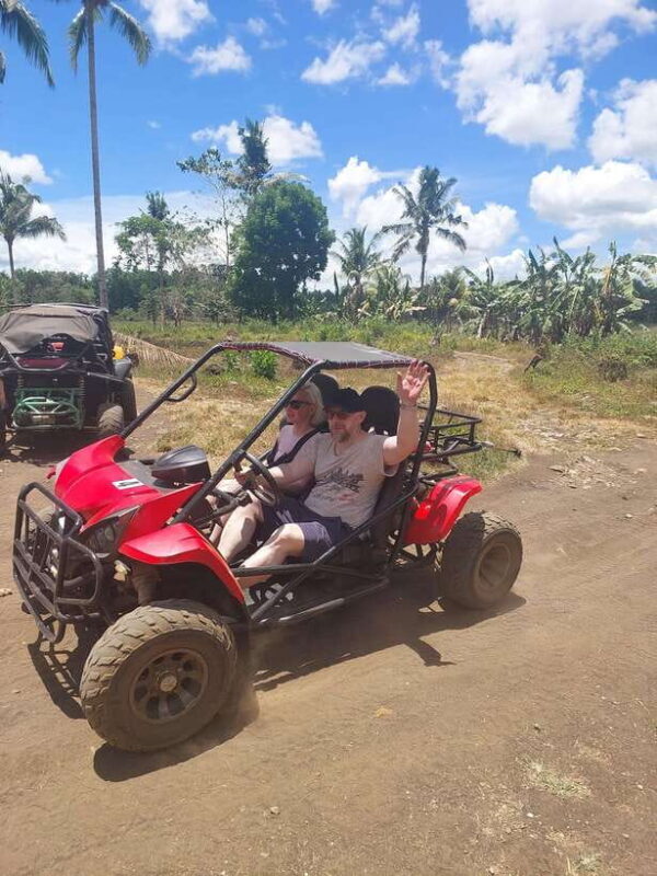 Sardines, chocolate hills, tarsiers, ATV,floating restaurant - What Travelers Can Expect