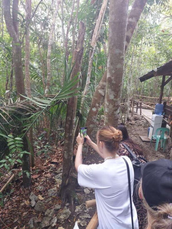 Sardines, chocolate hills, tarsiers, ATV,floating restaurant - Final Thoughts