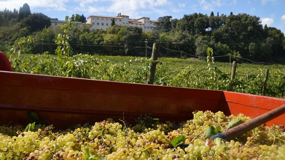 Sardinia: Food and Wine Tour by Tuk Tuk or Minivan - Exploring the Sardinian Landscape