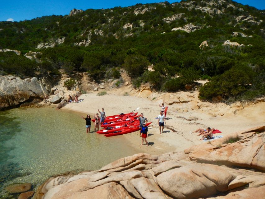 Sardinia: Morning Kayak Tour With Snorkeling and Fruit - Wildlife Encounter Opportunities