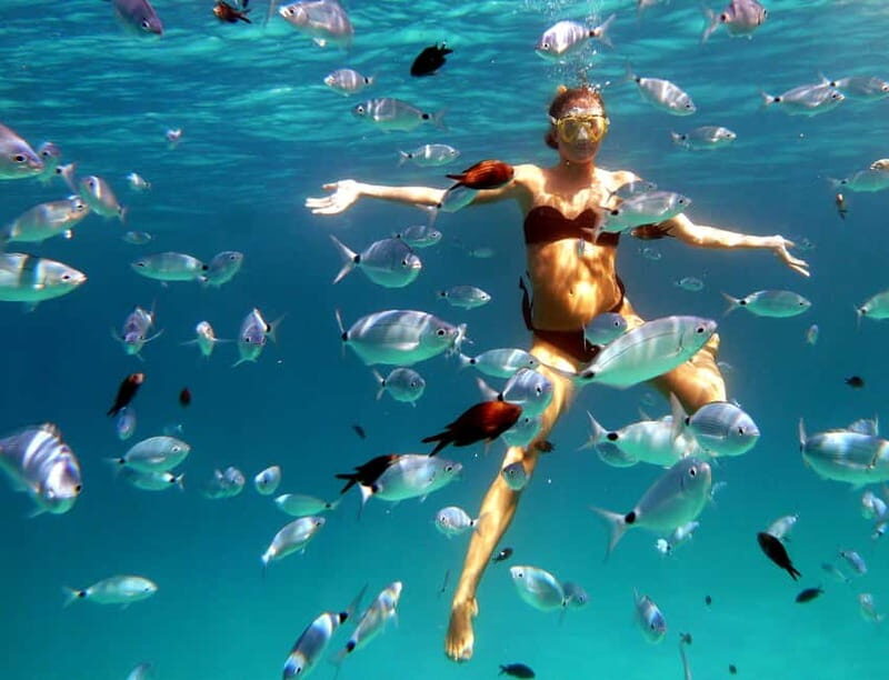 Sardinia: Morning Kayak Tour with Snorkeling - A Closer Look at the Tour Experience