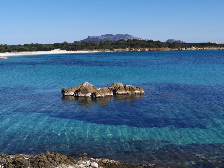 Sardinia: North East Coast Day Trip - Tour Information