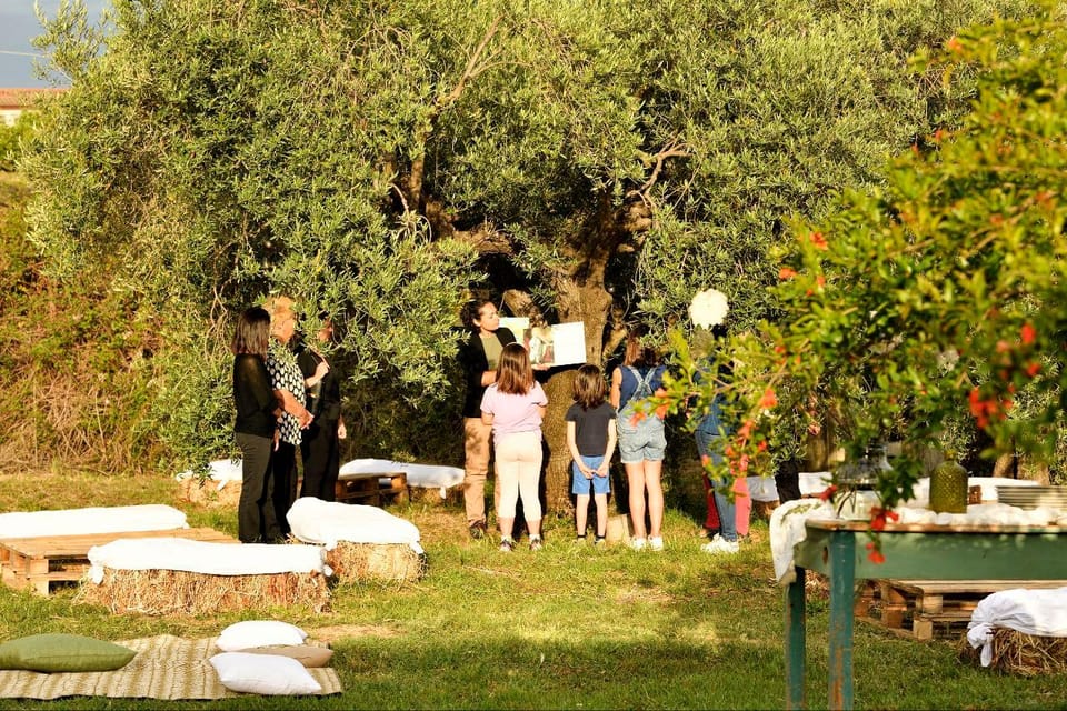Sardinia: Tour in the World of Extra Virgin Olive Oil - Key Points