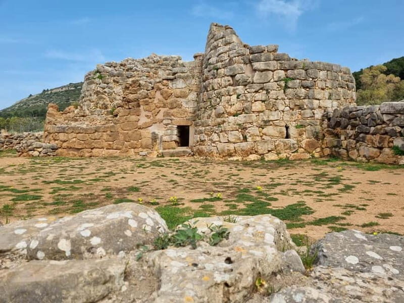 Sardinia: Wine Tasting and Nuragic Village Tour in Alghero - The Sum Up