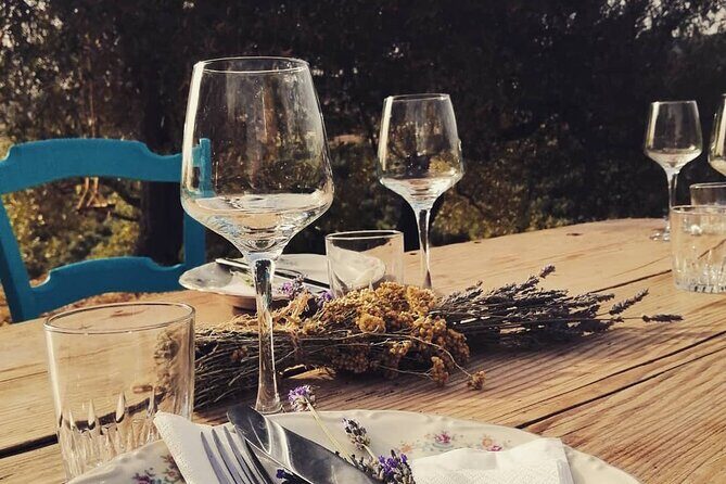 Sardinian Olive Oil tasting & Picnic among the olive trees - A Closer Look at the Sardinian Olive Oil Tasting & Picnic Tour