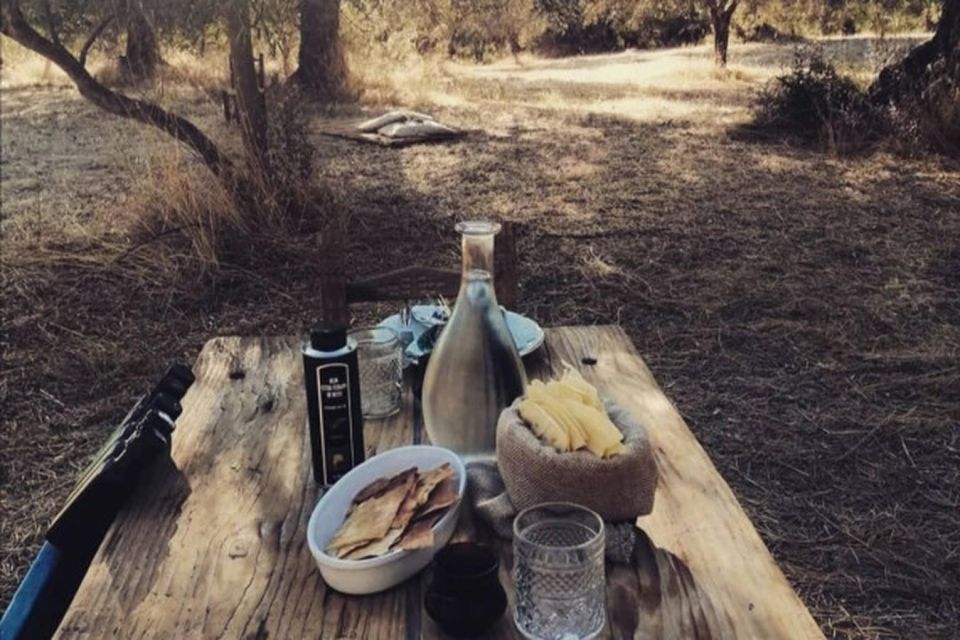 Sardinian Olive Oil Tasting & Picnic Among the Olive Trees - Learning About Olive Oil