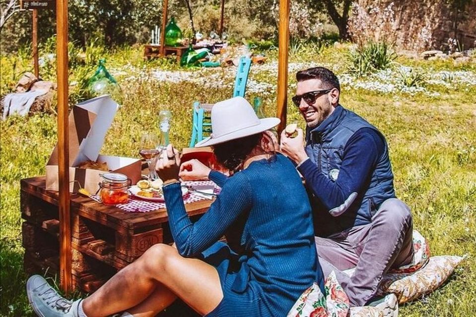 Sardinian Olive Oil Tasting & Picnic Among the Olive Trees - Customer Feedback Highlights