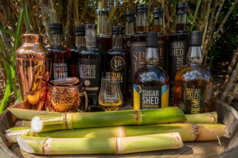 Sarina: Rum Distillery Guided Tour and Tasting 30 mins - The Sum Up