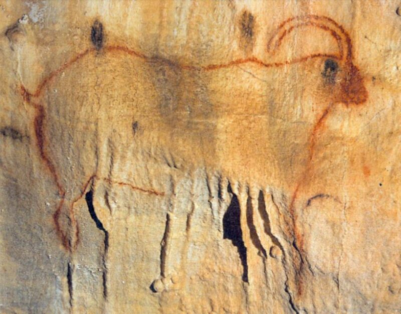 Sarlat : Private Tour to an Original Prehistoric Cave - Inclusions and Exclusions