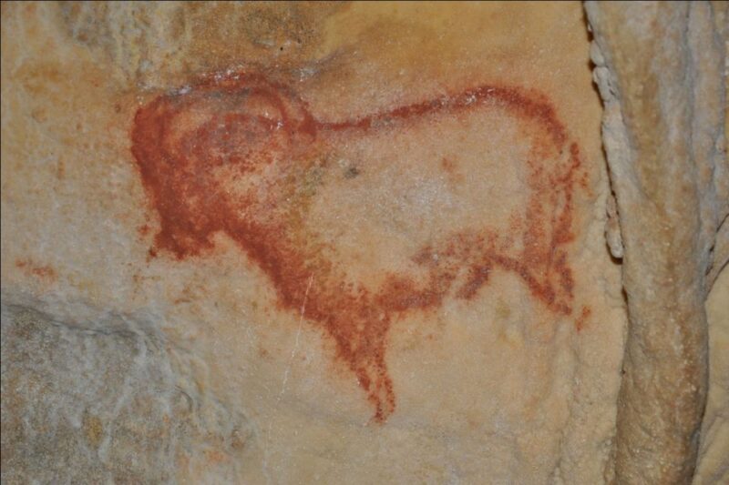 Sarlat : Private Tour to an Original Prehistoric Cave - Booking Your Private Tour