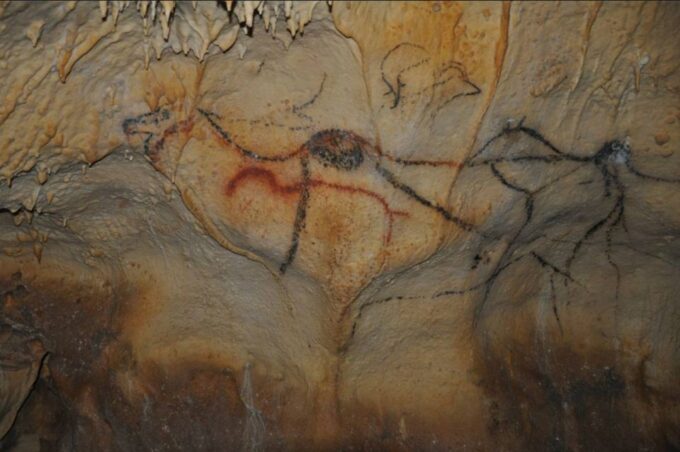 Sarlat : Private Tour to an Original Prehistoric Cave - Frequently Asked Questions