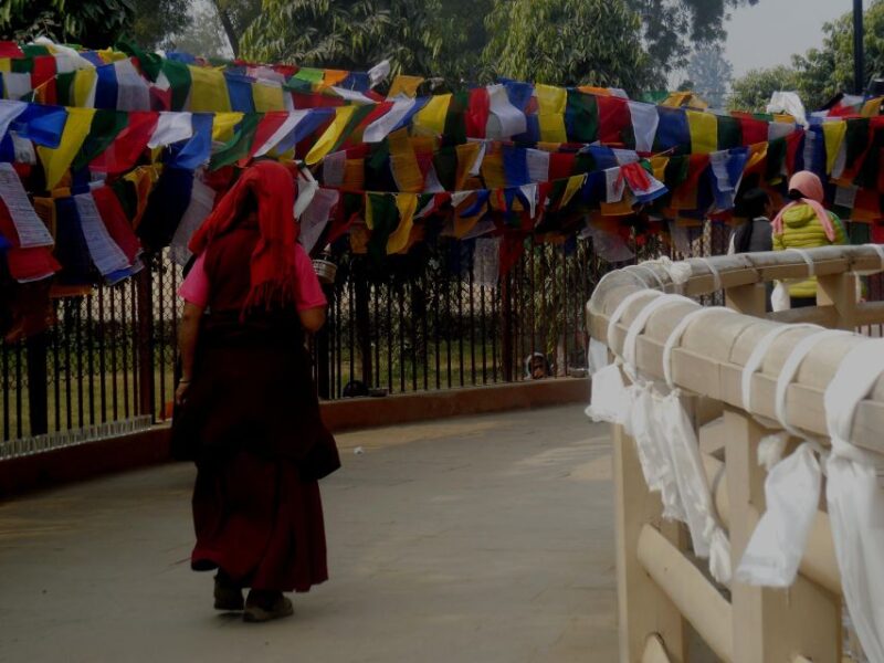 Sarnath Tour With Your Personal Guide - Key Points
