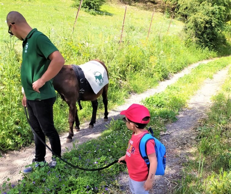 Sassari: hiking with donkeys in Cargeghe and aperitif - Final Thoughts