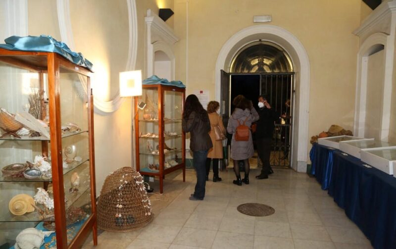 Sassari: Visit the Sea and Water Ecomuseum - Immersive Water Cycle Journey