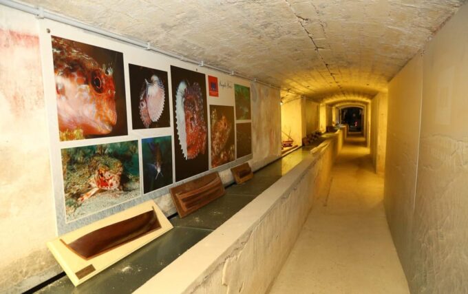 Sassari: Visit the Sea and Water Ecomuseum - Pricing, Reservations, and Cancellation Policy