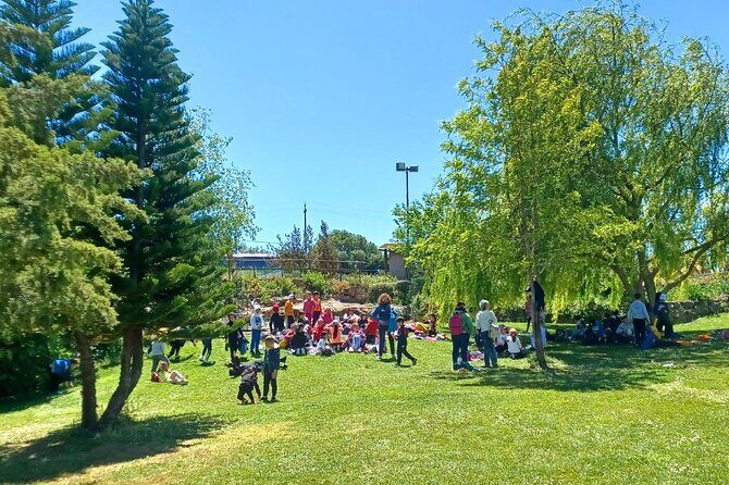 Sassari Visit to the Roman Castrum and the Educational Farm - Final Thoughts: Who Is This Tour Best For?