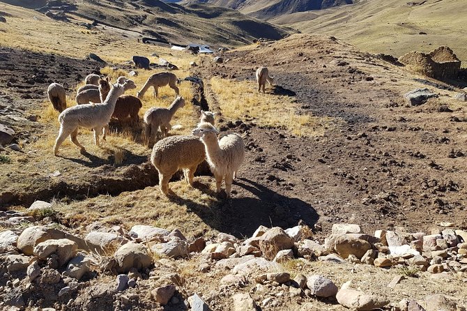 Saturday Hikes (Group Departures) - Inclusions and Amenities