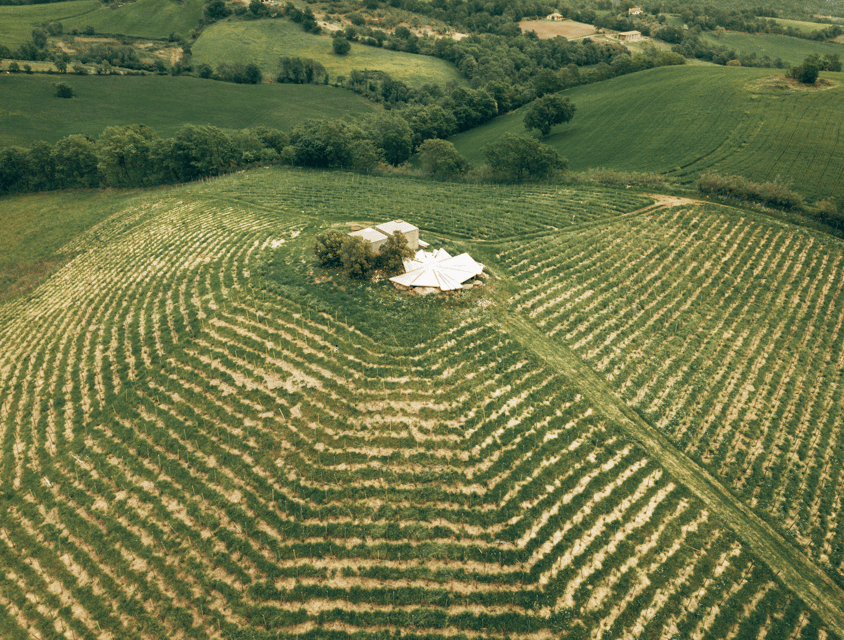 Saturnia: The Maliosa Winery Farm Picnic at Sunset - Overview and Pricing