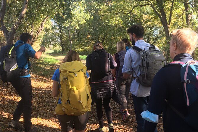 Saturnia's thermal waters a hike through history - An In-Depth Look at the Saturnia Thermal Water Tour