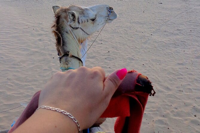 Saudi Arabia Private Tour From Bahrain With Traditional Meal - Highlights