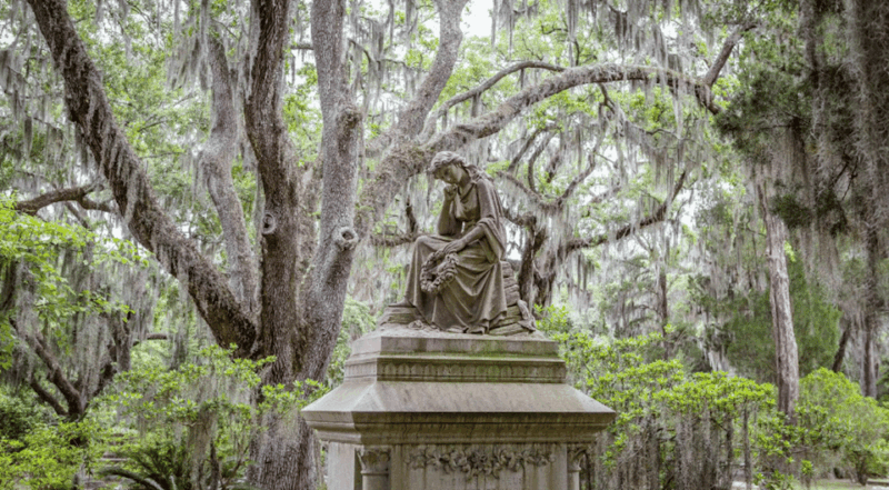 Savannah: Best of the City Tour With Wormsloe Historic Site - Discovering Isle of Hope