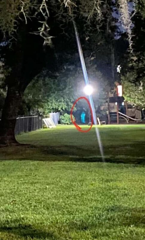 Savannah: Deathly Debutantes Guided Walking Tour - Frequently Asked Questions