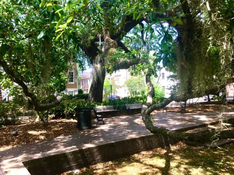 Savannah: Highlights & Hidden Gems Guided Walking Tour - An In-Depth Look at the Savannah Highlights & Hidden Gems Tour