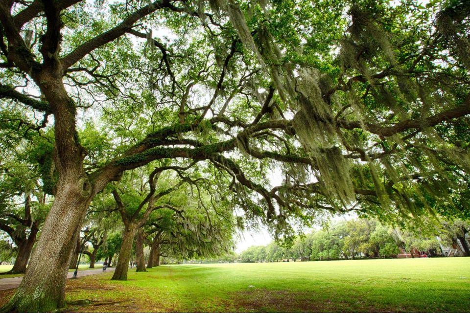 Savannah: Historical Panoramic City Tour - Frequently Asked Questions