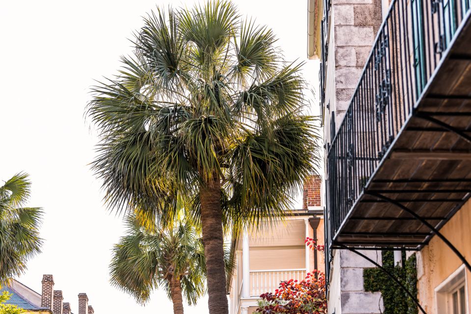 Savannah Paranormal Ghost Walking Tour - Frequently Asked Questions