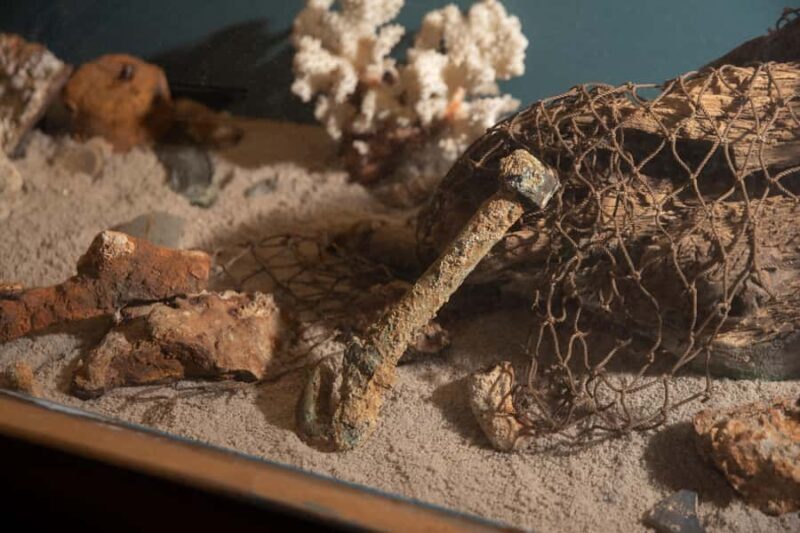 Savannah: Pirates and Treasure Museum Entry Ticket - Key Points