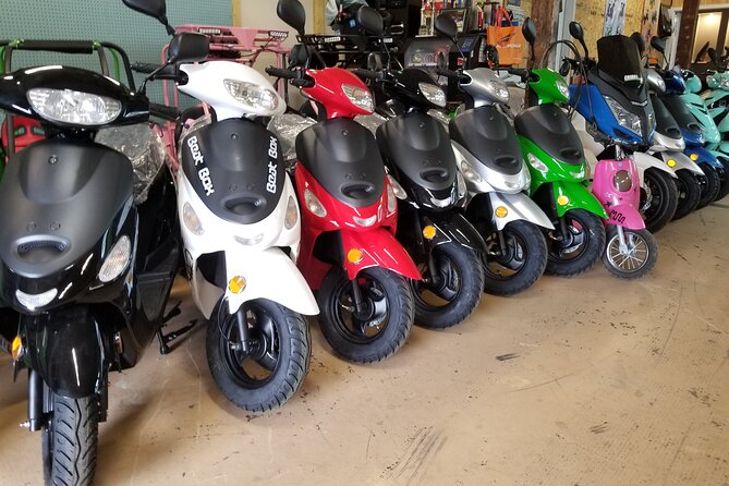 Savannah Scooter and Trike Rental With Helmet - Customer Reviews and Feedback