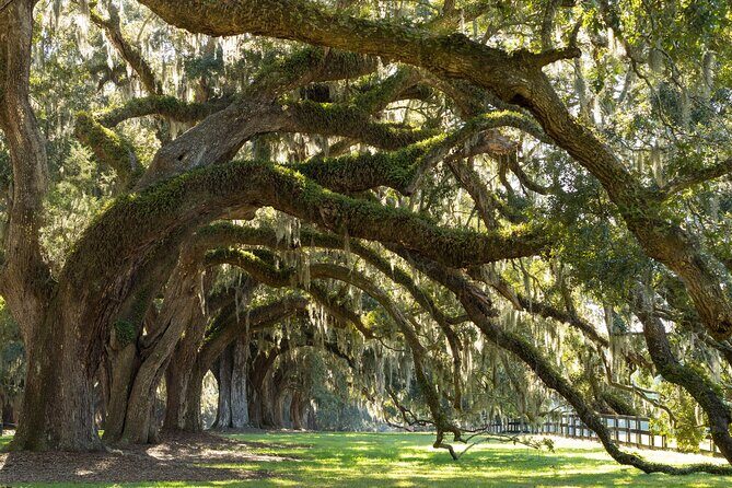 Savannah to Charleston Round Trip Self Guided Audio Tour - FAQ