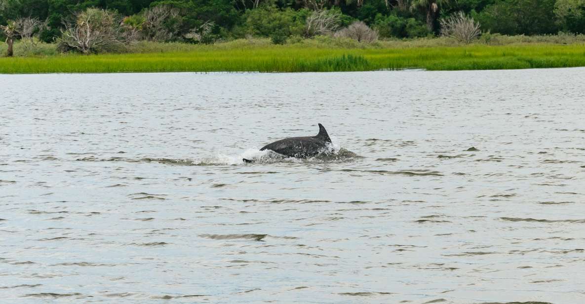 Savannah: Tybee Island Dolphin Tour - Pricing and Cancellation Policy