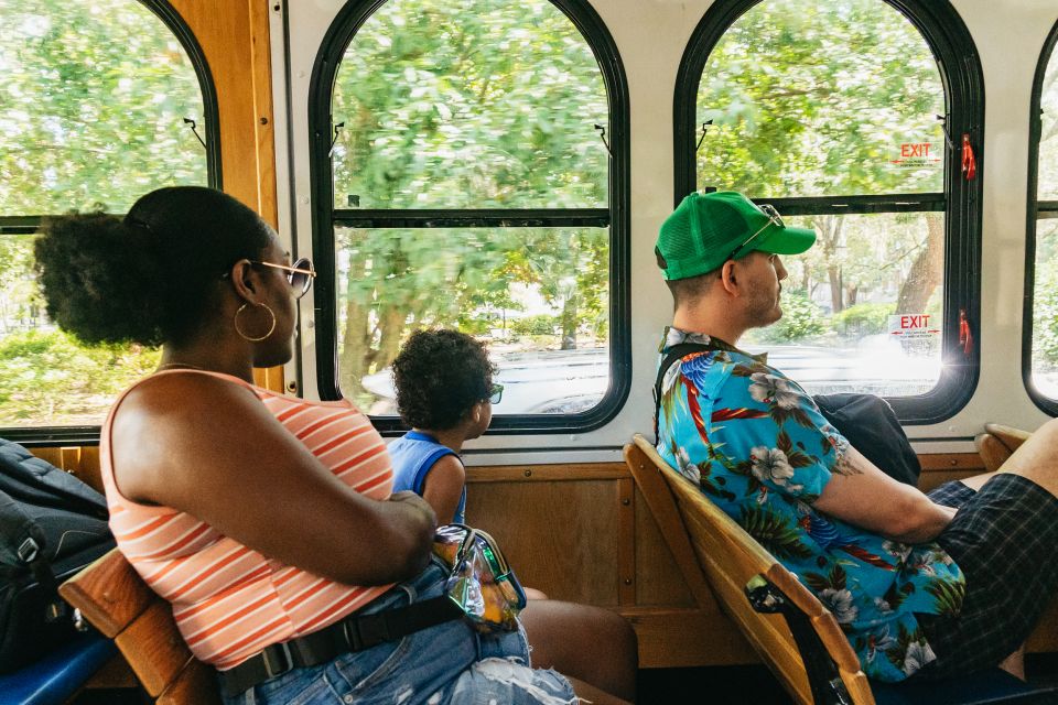 Savannah: Tybee Island Dolphin Tour - What to Expect